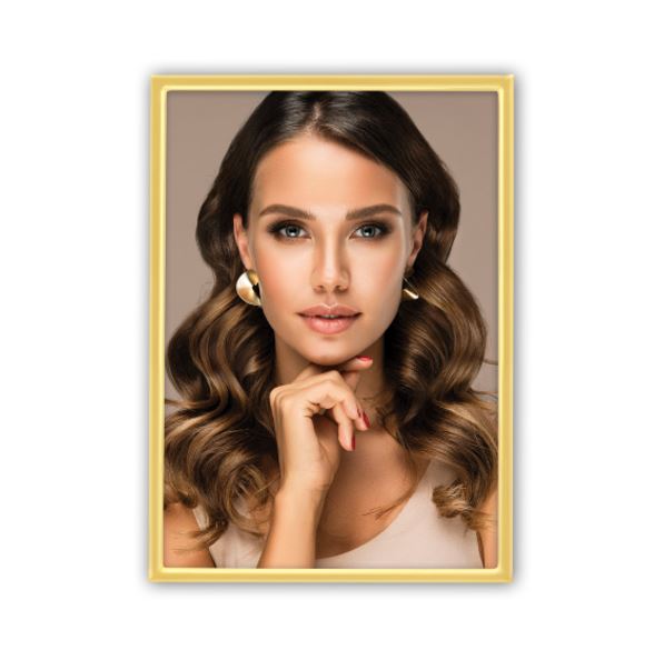 Zep Cornice Silvia Gold 15X20 VK689G