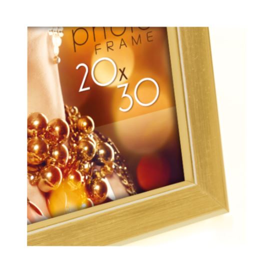 Zep Cornice Wales Gold 13x18 WT57G