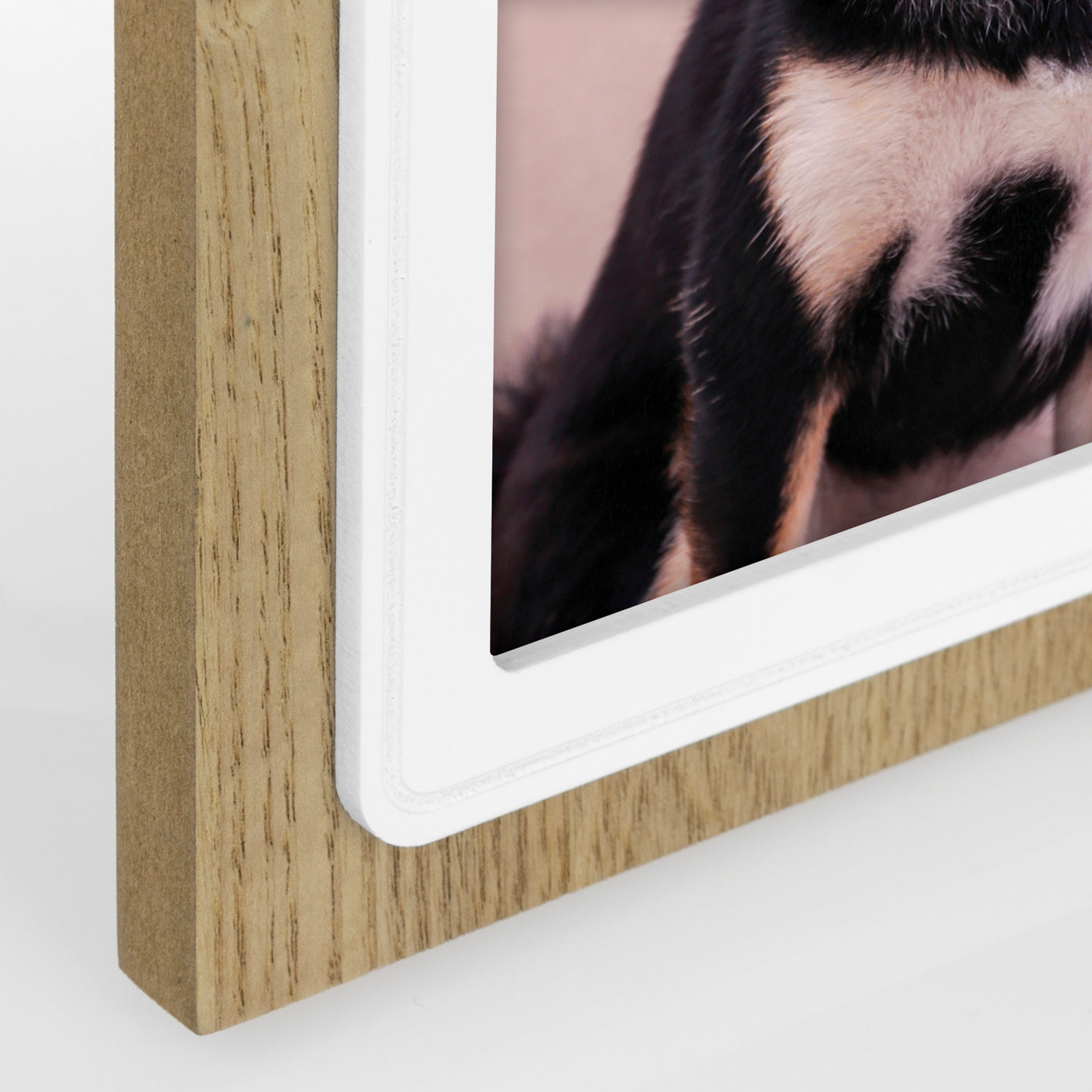 Zep Cornice Peggy 10X15 ZX346
